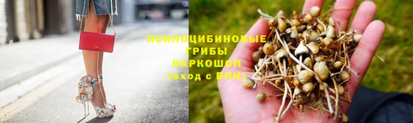 трава Алексеевка
